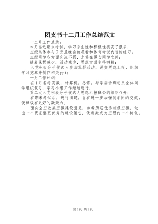 2024年团支书十二月工作总结范文