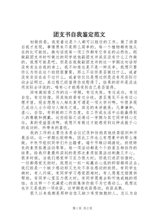 2024年团支书自我鉴定范文