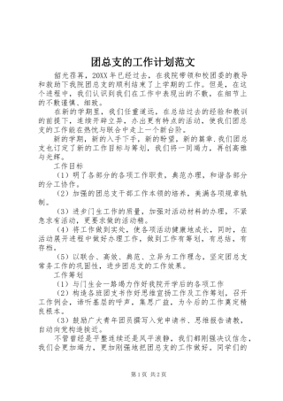 2024年团总支的工作计划范文