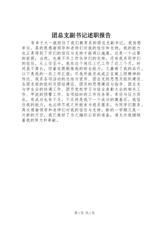 2024年团总支副书记述职报告