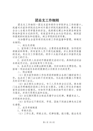 2024年团总支工作细则