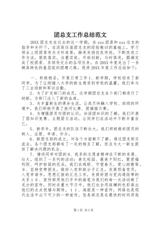 2024年团总支工作总结范文