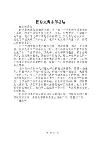 2024年团总支青志部总结