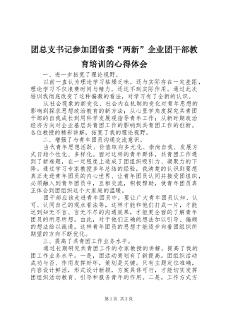 2024年团总支书记参加团省委两新企业团干部教育培训的心得体会