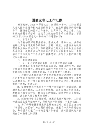 2024年团总支书记工作汇报