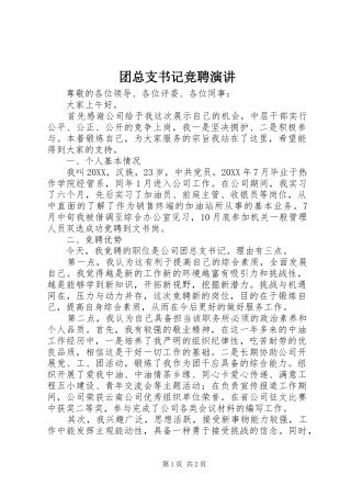 2024年团总支书记竞聘演讲