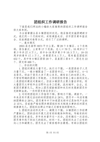 2024年团组织工作调研报告