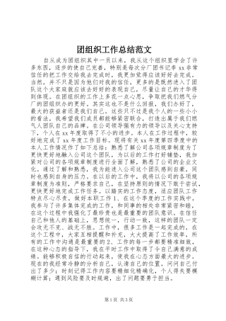 2024年团组织工作总结范文