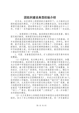 2024年团组织建设典型经验介绍