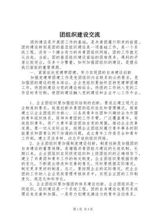 2024年团组织建设交流