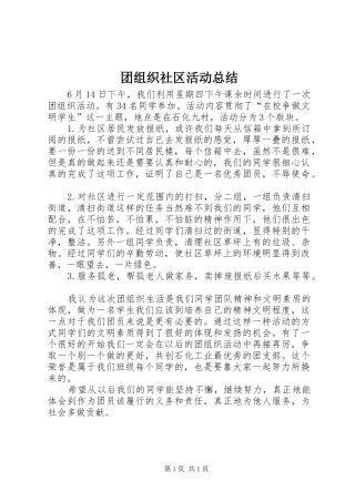 2024年团组织社区活动总结