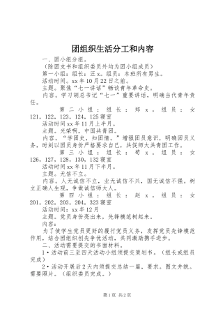 2024年团组织生活分工和内容