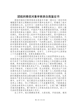 2024年团组织推优对象审核表自我鉴定书