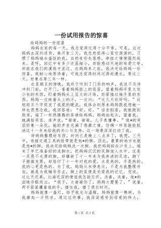 2024年一份试用报告的惊喜