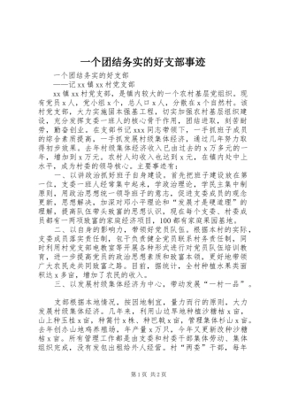 2024年一个团结务实的好支部事迹
