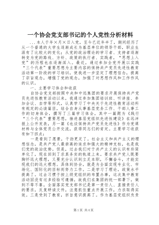 2024年一个协会党支部书记的个人党性分析材料