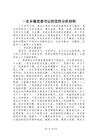 2024年一名乡镇党委书记的党性分析材料