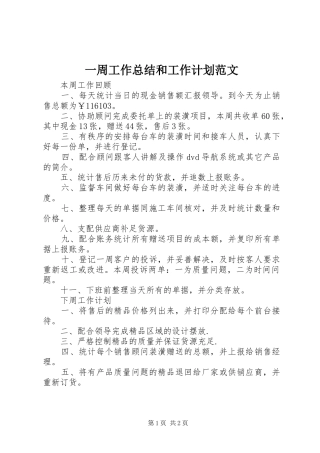 2024年一周工作总结和工作计划范文