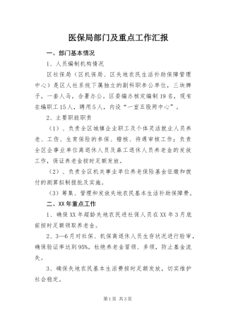 2024年医保局部门及重点工作汇报