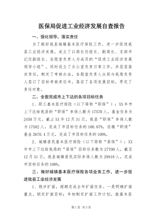 2024年医保局促进工业经济发展自查报告