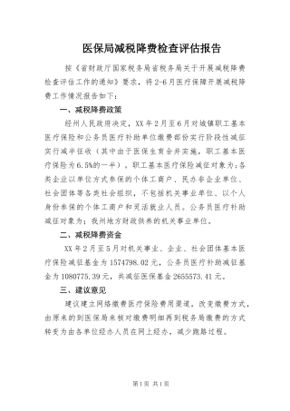 2024年医保局减税降费检查评估报告