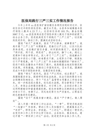 2024年医保局践行三严三实工作情况报告