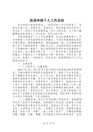 2024年医保审核个人工作总结