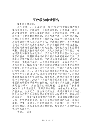 2024年医疗救助申请报告