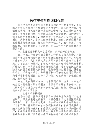 2024年医疗审核问题调研报告