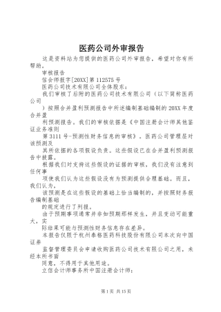 2024年医药公司外审报告