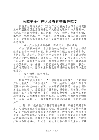 2024年医院安全生产大检查自查报告范文