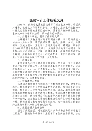 2024年医院审计工作经验交流