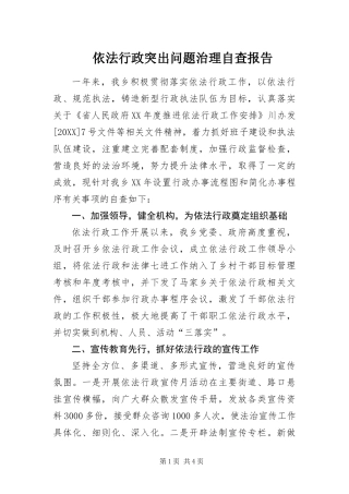 2024年依法行政突出问题治理自查报告