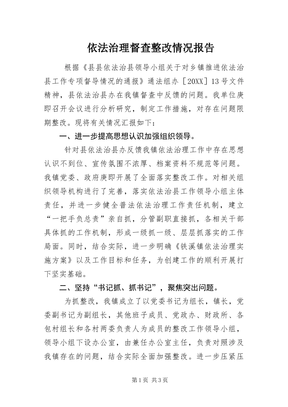 2024年依法治理督查整改情况报告_第1页