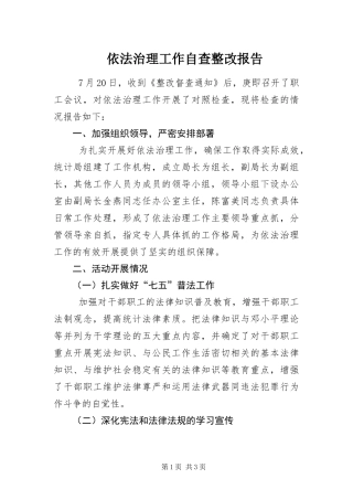 2024年依法治理工作自查整改报告