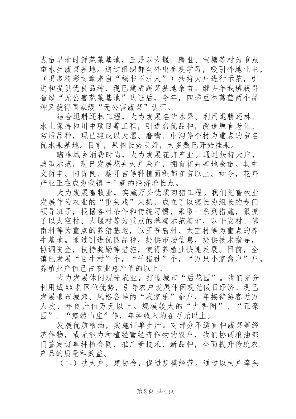 2024年依托城市谋发展打造特色奔小康_第2页