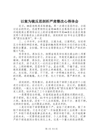 2024年以案为镜反思剖析严肃整改心得体会