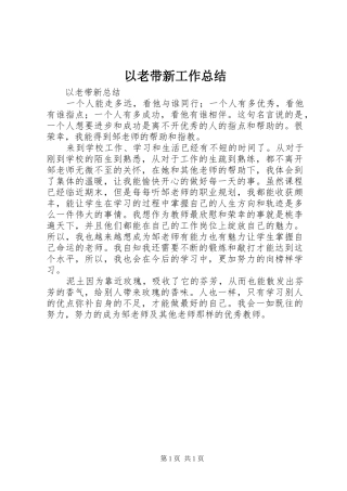 2024年以老带新工作总结
