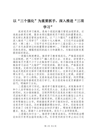 2024年以三个强化为重要抓手，深入推进三项学习