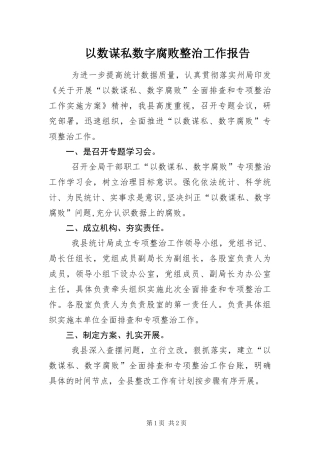 2024年以数谋私数字腐败整治工作报告