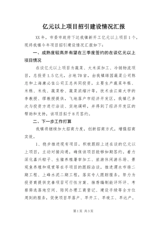 2024年亿元以上项目招引建设情况汇报