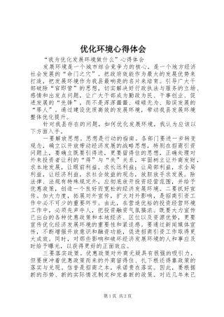 2024年优化环境心得体会
