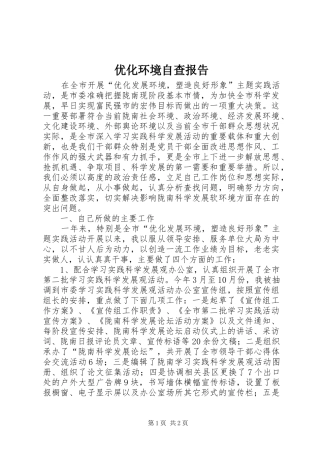 2024年优化环境自查报告