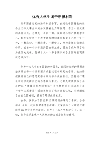2024年优秀大学生团干申报材料