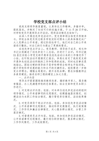 2024年学校党支部点评小结