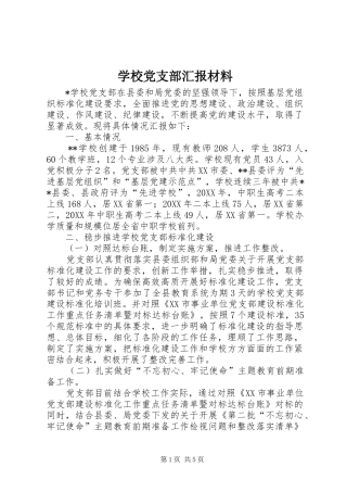 2024年学校党支部汇报材料