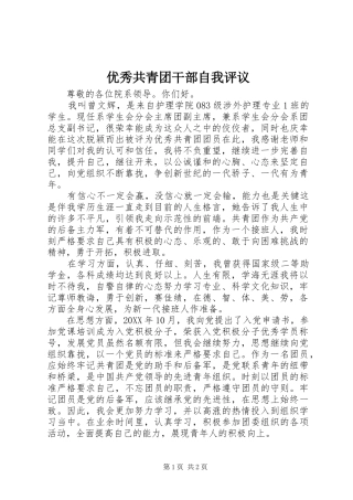 2024年优秀共青团干部自我评议