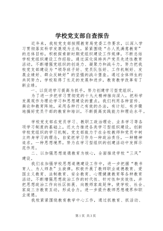 2024年学校党支部自查报告