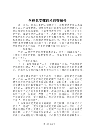 2024年学校党支部自检自查报告