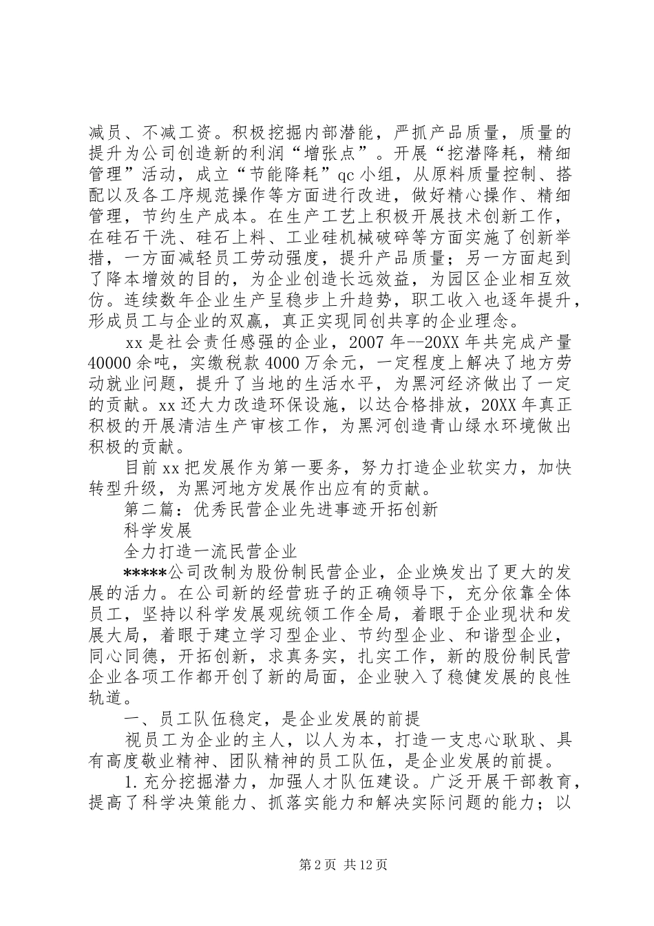 2024年优秀民营企业主要事迹_第2页